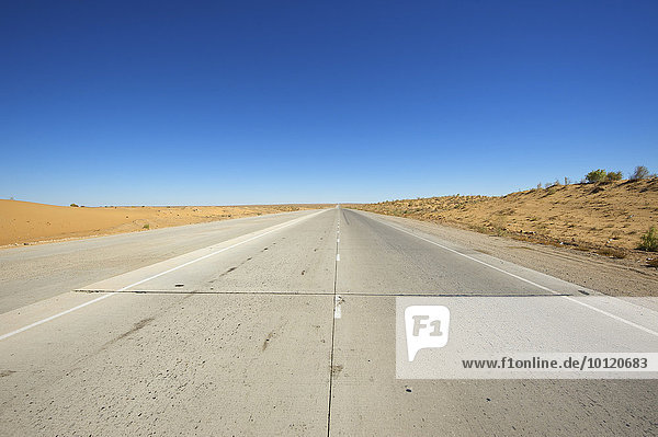Straße in der Wüste Kysylkum oder Kizilkum  Usbekistan  Asien
