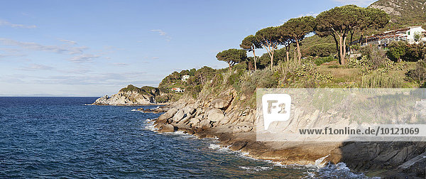 Küste bei Sant' Andrea  Elba  Provinz Livorno  Toskana  Italien  Europa