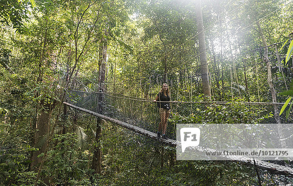 Tourist  woman on suspension bridge in jungle  Kuala Tahan  Taman Negara National Park  Malaysia  Asia