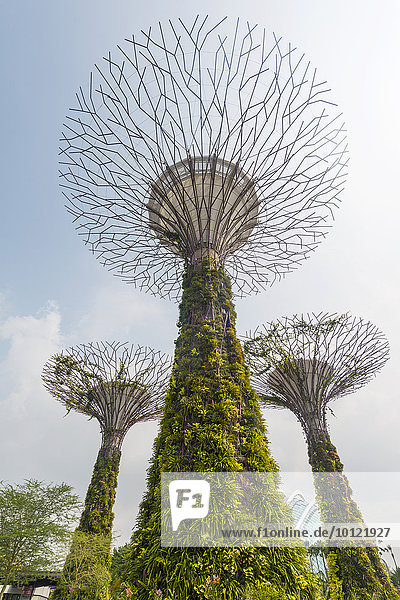 SuperTrees  Gardens by the Bay  Singapur  Asien