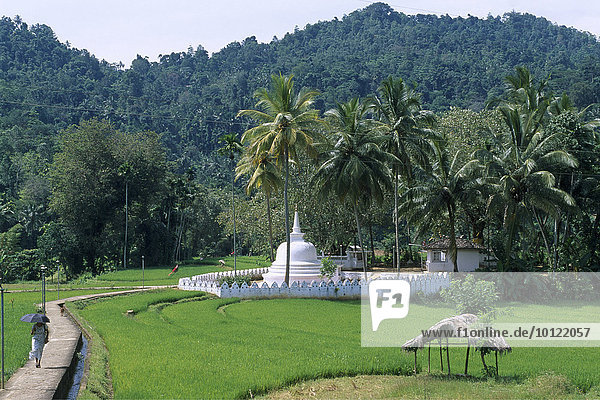 Temple  Kandy  Sri Lanka  South Asia  Asia