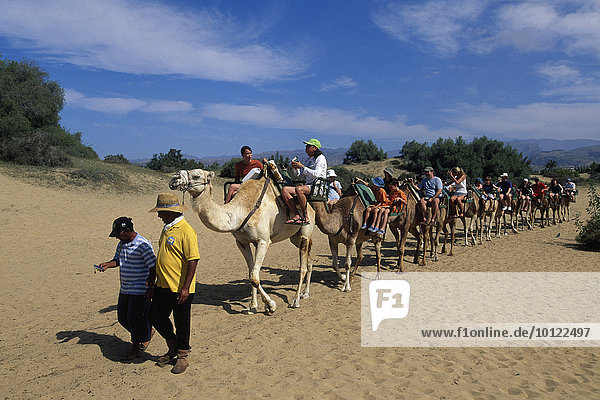 Camel safari for tourists in the sand dunes of Maspalomas  Gran Canaria  Canary Islands  Spain  Europe