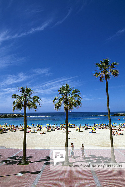 Strand  Playa Amadores  Puerto Rico  Gran Canaria  Kanaren  Spanien  Europa  Nordamerika