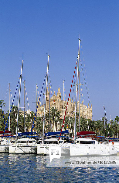 Segelyachten im Hafen vor der Kathedrale  Palma de Mallorca  Mallorca  Balearen  Spanien  Europa