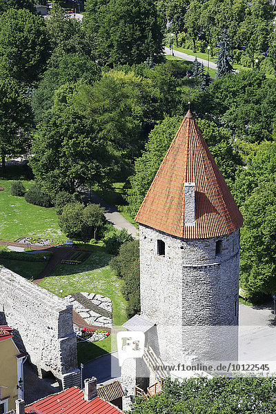 Turm der Stadtmauer Linnamüür im Westen der Unterstadt  vom Turm der Olaikirche  Oleviste Kirik  Tallinn  Estland  Europa
