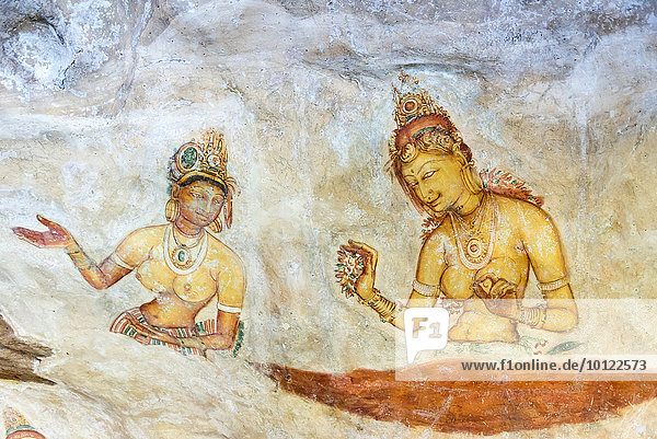 Sigiriya Fresken  Sigiriya  Lion Rock oder Löwenfelsen  Sri Lanka  Asien