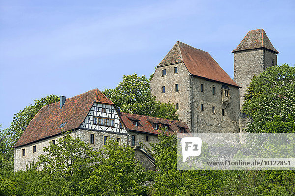 Burg Tierberg  Steinkirchen  bei Braunsbach  Baden-Württemberg  Deutschland  Europa