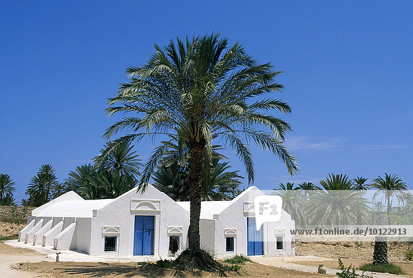 Traditionelles Bauernhaus Menzel  Midoun  Djerba  Tunesien  Afrika