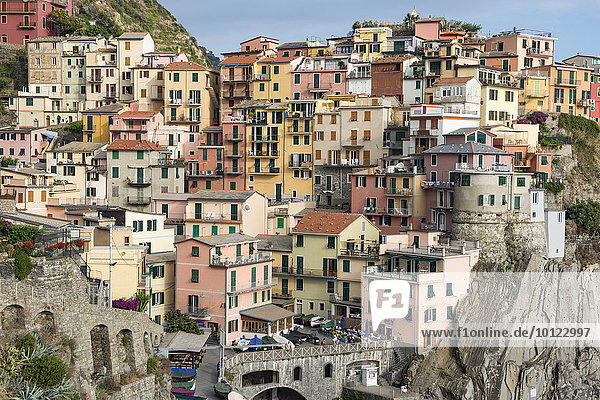 Bunte Häuser  UNESCO-Weltkulturerbe  Manarola  Nationalpark Cinque Terre  Ligurien  Italien  Europa