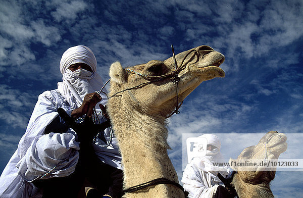 Tuareg auf ihren Kamelen  Sahara  Libyen  Afrika