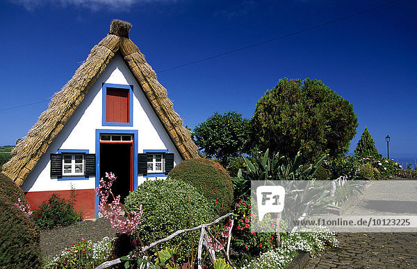 Traditionelles Haus  Casas de Colmo  Santana  Madeira  Portugal  Europa