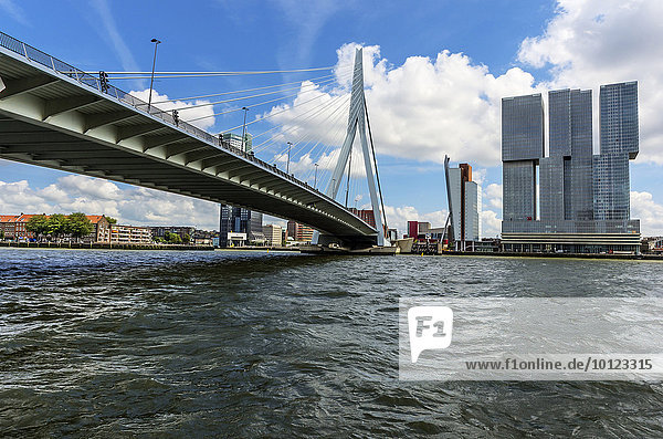 Skyline with Erasmus bridge or Erasmusbrug  New Meuse  Rotterdam  Holland  The Netherlands  Europe