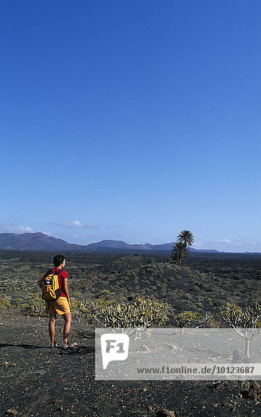 Wandern in der Vulkanlandschaft bei Uga  Lanzarote  Kanarische Inseln  Spanien  Europa