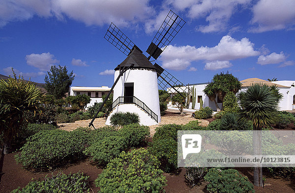 Windmühle El Molino in Antigua  Fuerteventura  Kanarische Inseln  Spanien  Europa