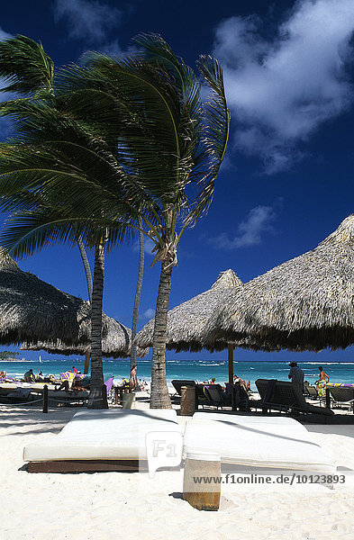 Sonnenschirme  Liegeplätze  Palmenstrand Playa Bavaro bei Punta Cana  Dominikanische Republik  Karibik  Nordamerika