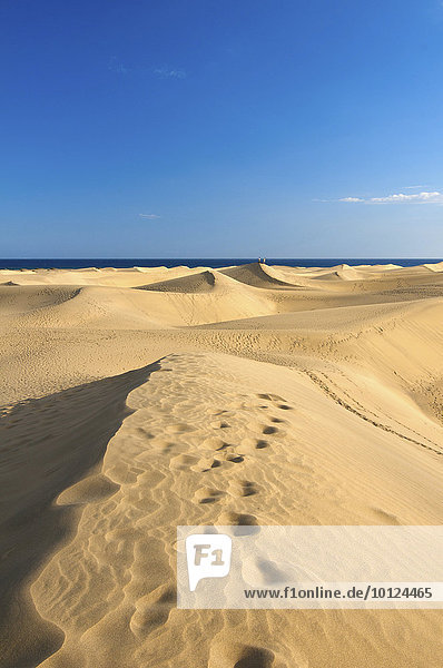 Sand dunes of Maspalomas  Gran Canaria  Canary Islands  Spain  Europe
