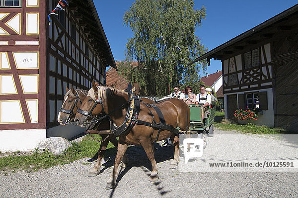 Schwäbisches Bauernhofmuseum Illerbeuren  Oberschwaben  Allgäu  Bayern  Deutschland  Europa