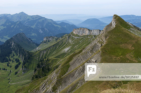 Blick vom Hohen Ifen ins Grammla Tal  Vorarlberg  Österreich  Europa