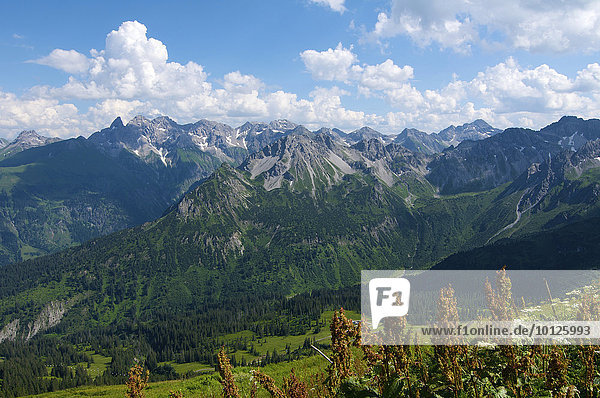 Blick vom Fellhorn auf die Allgäuer Hochalpen  Oberstdorf  Allgäu  Bayern  Deutschland  Europa