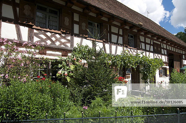 Bauernhofmuseum in Wolfegg  Oberschwaben  Allgäu  Baden-Württemberg  Deutschland  Europa
