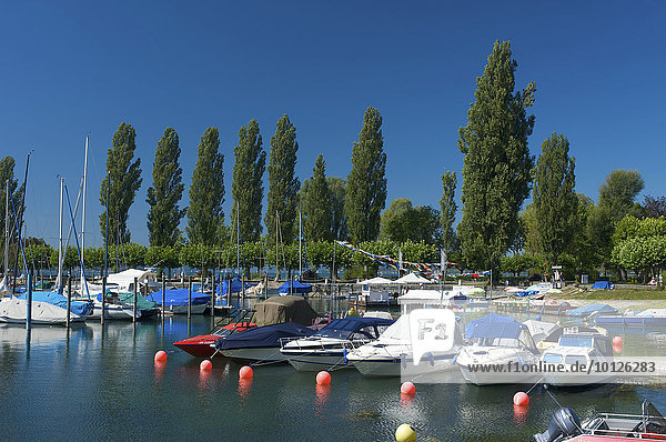 Port of Unteruhldingen on Lake Constance  Baden-Wuerttemberg  Germany  Europe