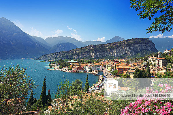 Torbole on Lake Garda  Trentino  Italy  Europe