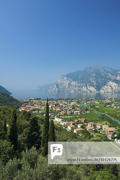 Aerial view of Torbole on Lake Garda  Trentino  Italy  Europe
