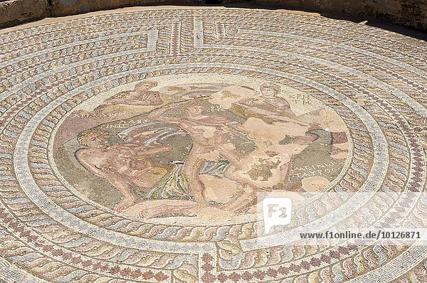 Mosaik im Ausgrabungsgelände von Pafos  Paphos  Südzypern  Zypern  Europa