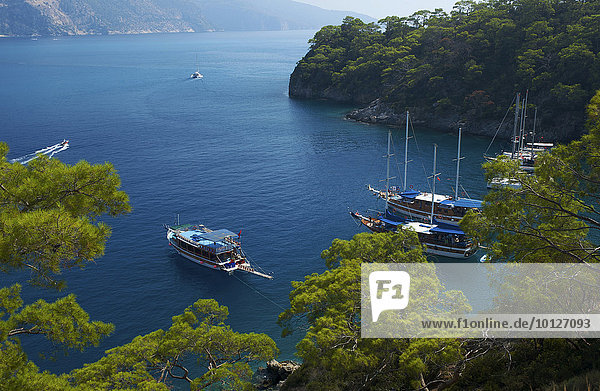 Ausflugsboote  Blaue Reise in Ölüdeniz bei Fethiye  türkische Ägäisküste  Türkei  Asien
