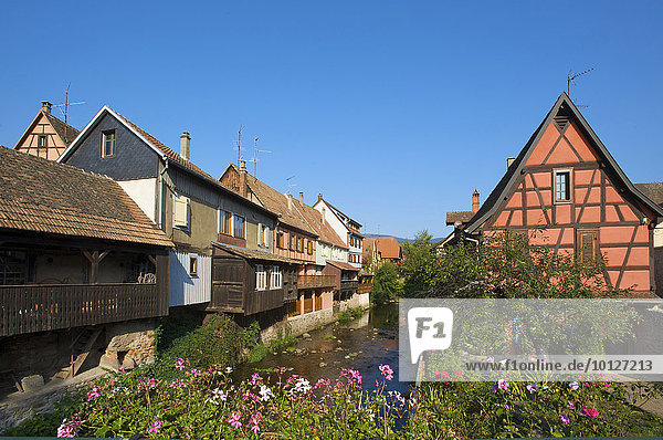 Fachwerkhäuser in Kaysersberg im Elsass  Frankreich  Europa