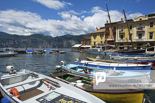 Hafen von Malcesine  Gardasee  Italien  Europa