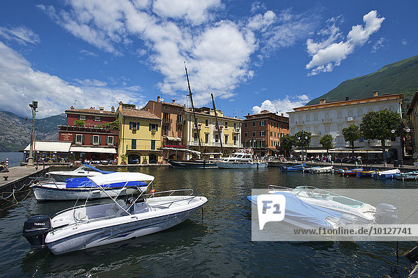 Boote im Hafen von Malcesine  Gardasee  Italien  Europa