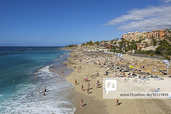 Beach of Playa del Duque  Costa Adeje  Tenerife  Canary Islands  Spain  Europe