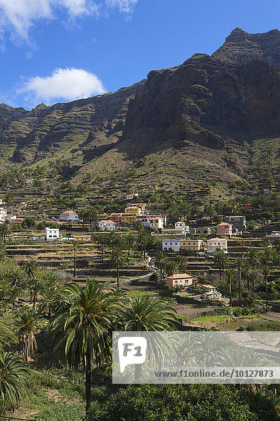 Terrassenanbau und kleine Siedlung  Valle Gran Rey  La Gomera  Kanaren  Spanien  Europa