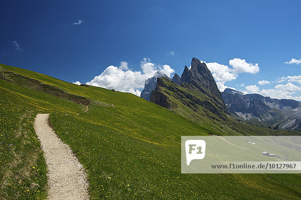 Geislerspitzen  Pana Scharte  Dolomiten  Seceda  Grödnertal  Provinz Südtirol  Trentino-Südtirol  Italien  Europa