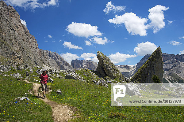 Woman hiking on the Malga Alm alpine pasture below the Odle Mountains  Seceda Mountain  Grödnertal  Dolomiten  South Tyrol province  Trentino-Alto Adige  Italy  Europe