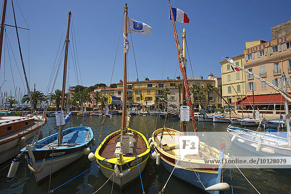Hafen mit historischen Booten  Département Var  Region Provence-Alpes-Côte d?Azur  Frankreich  Europa