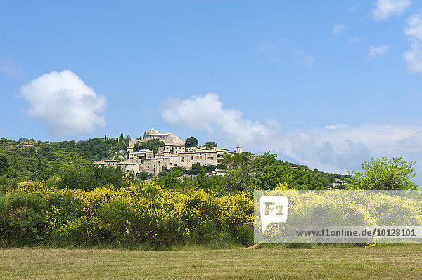 Dorfansicht  Simiane la Rotonde  Provence  Region Provence-Alpes-Côte d?Azur  Frankreich  Europa