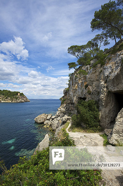 Höhleneingang  Cala Portals Vells  Portals Vells  Calvià  Mallorca  Balearen  Spanien  Europa