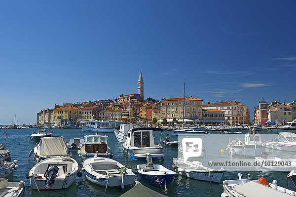 Hafen  Altstadt  Rovinj  Istrien  Kroatien  Europa