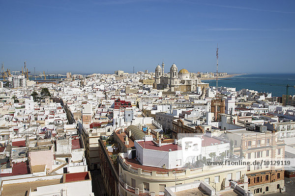 Ausblick vom Turm Torre Tavira zur Neuen Kathedrale  Cadiz  Costa de la Luz  Andalusien  Spanien  Europa