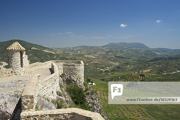Maurische Burg  Olvera  Weiße Dörfer  Andalusien  Spanien  Europa