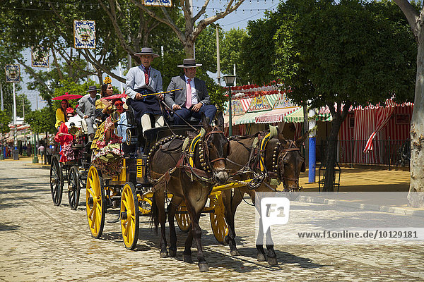 Carriage at the Feria de Abril  Seville  Andalucía  Spain  Europe