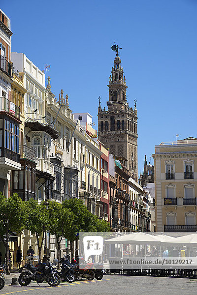 Glockenturm La Giralda  in Barrio de Santa Cruz  Sevilla  Andalusien  Spanien  Europa