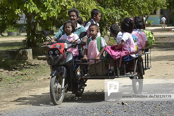 Alter Mann mit Schulkindern auf einem Motorroller  Koh Samui  Thailand  Asien