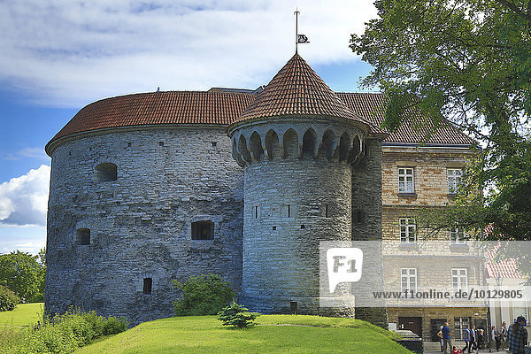 Stadtmauer mit Turm Dicke Margarete am nördlichen Ende der Unterstadt  Tallinn  Estland  Europa
