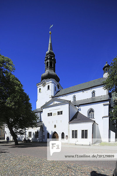 Dom Toomkirik in der Oberstadt  Tallinn  Estland  Europa