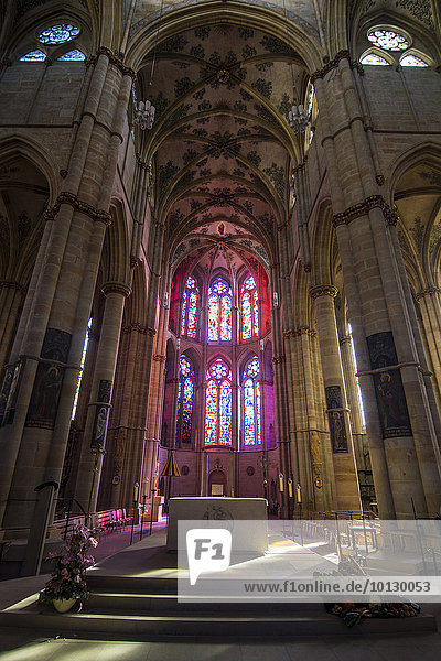 Glasfenster in der Kathedrale von Trier  Unesco-Weltkulturerbe  Trier  Rheinland-Pfalz  Deutschland  Europa