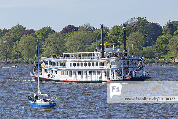 Paddleboat Mississippi Queen  826. port birthday  Finkenwerder  Hamburg  Germany  Europe