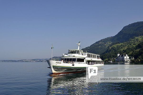 Panoramaschiff MS Flüelen mit Parkhotel im Hintergrund  Vierwaldstättersee  Vitznau  Kanton Luzern  Schweiz  Europa